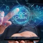 Blockchain fragmentation and cooperation