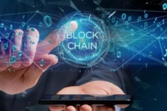 Blockchain fragmentation and cooperation
