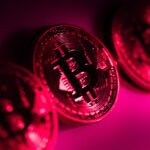 Crypto Market Rebounds