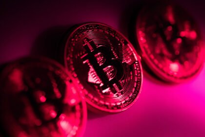 Crypto Market Rebounds