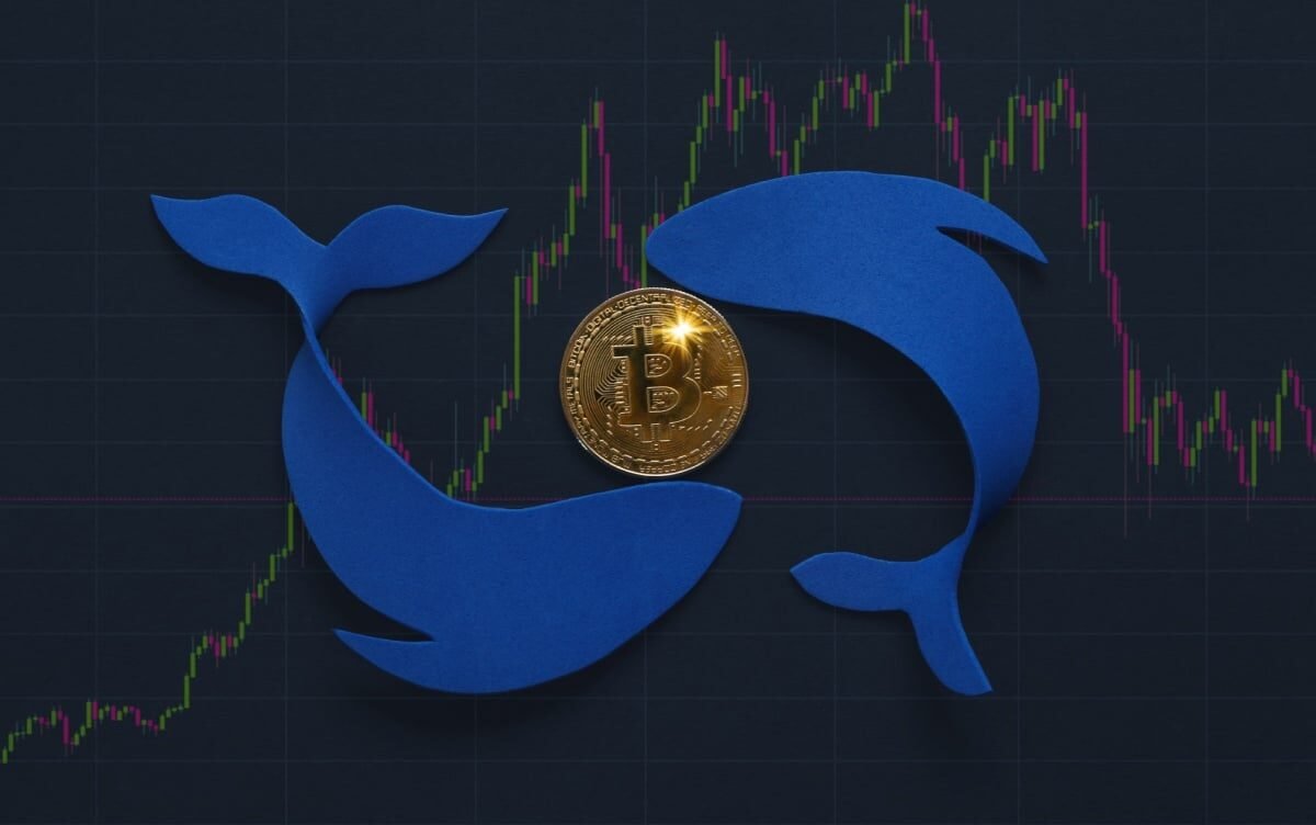 Whales Show Confidence Amid Profitable Moves