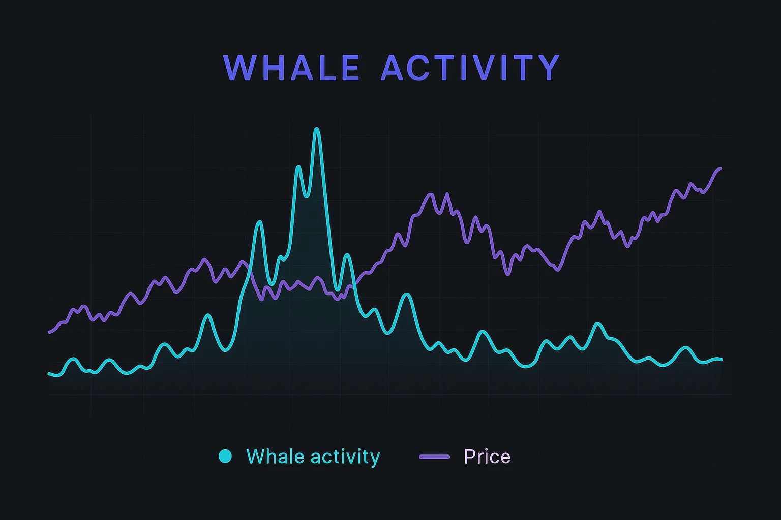 Whale Activity: Following the Smart Money