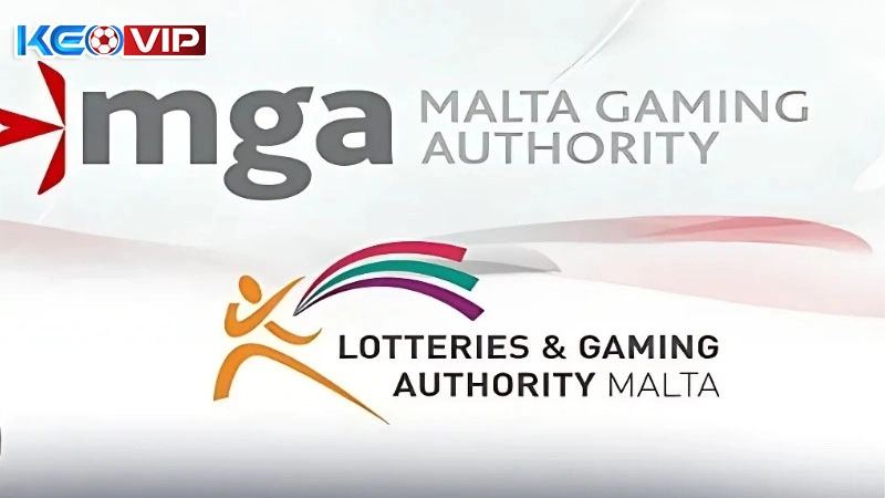 Giấy phép hợp pháp từ Malta khẳng định uy tín nền tảng