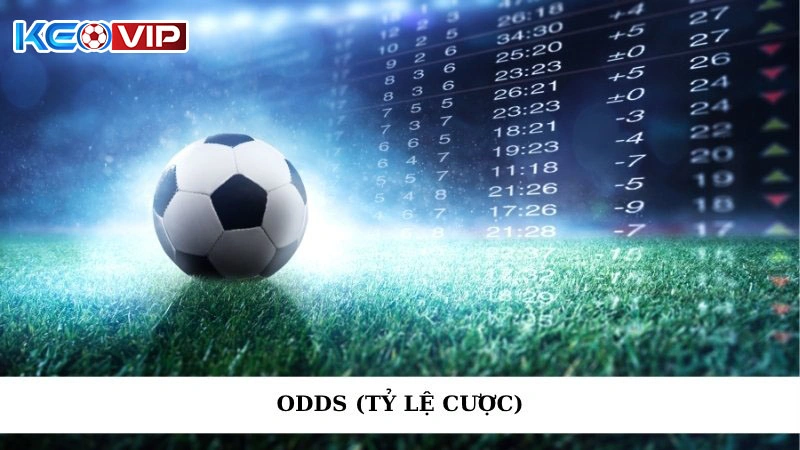 Odds (Tỷ Lệ Cược) - Bí Quyết Đọc Kèo Và Đặt Cược Hiệu Quả
